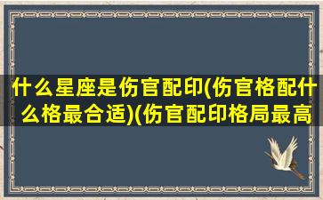 什么星座是伤官配印(伤官格配什么格最合适)(伤官配印格局最高)