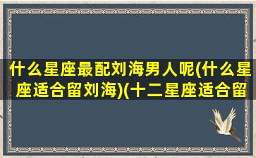 什么星座最配刘海男人呢(什么星座适合留刘海)(十二星座适合留什么头发)