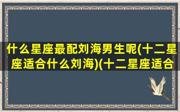 什么星座最配刘海男生呢(十二星座适合什么刘海)(十二星座适合什么发型男)