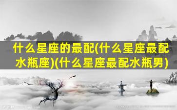 什么星座的最配(什么星座最配水瓶座)(什么星座最配水瓶男)