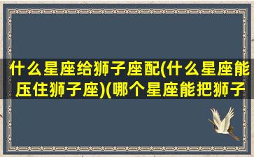 什么星座给狮子座配(什么星座能压住狮子座)(哪个星座能把狮子座宠上天)