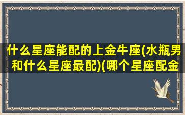 什么星座能配的上金牛座(水瓶男和什么星座最配)(哪个星座配金牛座)