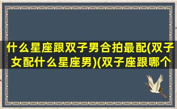 什么星座跟双子男合拍最配(双子女配什么星座男)(双子座跟哪个星座合拍)