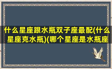 什么星座跟水瓶双子座最配(什么星座克水瓶)(哪个星座是水瓶座克星)