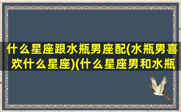 什么星座跟水瓶男座配(水瓶男喜欢什么星座)(什么星座男和水瓶女最配)