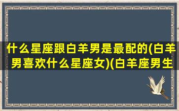 什么星座跟白羊男是最配的(白羊男喜欢什么星座女)(白羊座男生和什么星座男生相处的好)