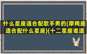 什么星座适合配歌手男的(摩羯座适合配什么星座)(十二星座谁适合当歌手女)