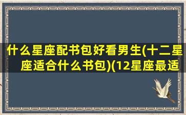 什么星座配书包好看男生(十二星座适合什么书包)(12星座最适合哪些笔记本)