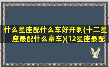 什么星座配什么车好开啊(十二星座最配什么豪车)(12星座最配什么跑车)