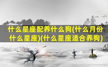 什么星座配养什么狗(什么月份什么星座)(什么星座适合养狗)