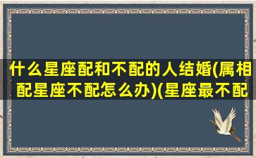 什么星座配和不配的人结婚(属相配星座不配怎么办)(星座最不配和最配)