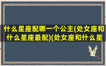 什么星座配哪一个公主(处女座和什么星座最配)(处女座和什么星座匹配度最高)