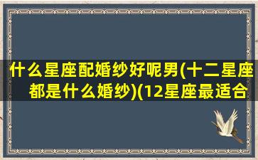 什么星座配婚纱好呢男(十二星座都是什么婚纱)(12星座最适合的婚纱裙,图片)