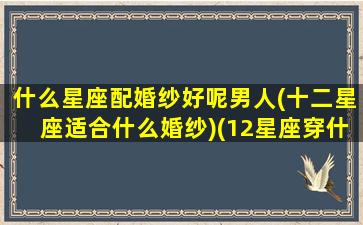 什么星座配婚纱好呢男人(十二星座适合什么婚纱)(12星座穿什么样的婚纱)