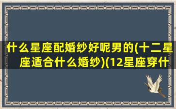 什么星座配婚纱好呢男的(十二星座适合什么婚纱)(12星座穿什么样的婚纱)