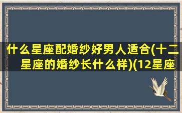 什么星座配婚纱好男人适合(十二星座的婚纱长什么样)(12星座最适合的婚纱裙,图片)