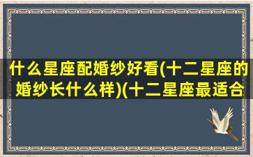 什么星座配婚纱好看(十二星座的婚纱长什么样)(十二星座最适合什么婚纱)