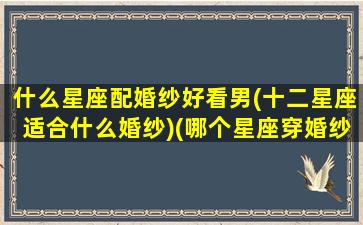 什么星座配婚纱好看男(十二星座适合什么婚纱)(哪个星座穿婚纱最好看)