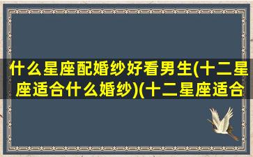 什么星座配婚纱好看男生(十二星座适合什么婚纱)(十二星座适合什么样的婚纱)