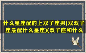 什么星座配的上双子座男(双双子座最配什么星座)(双子座和什么星座的男生最配)