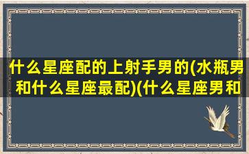 什么星座配的上射手男的(水瓶男和什么星座最配)(什么星座男和射手女最配)