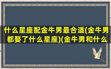 什么星座配金牛男最合适(金牛男都娶了什么星座)(金牛男和什么星座最搭配)