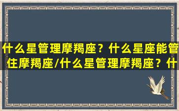 什么星管理摩羯座？什么星座能管住摩羯座/什么星管理摩羯座？什么星座能管住摩羯座-我的网站