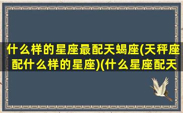 什么样的星座最配天蝎座(天秤座配什么样的星座)(什么星座配天平座)