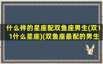 什么样的星座配双鱼座男生(双11什么星座)(双鱼座最配的男生是什么星座)