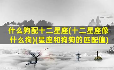 什么狗配十二星座(十二星座像什么狗)(星座和狗狗的匹配值)