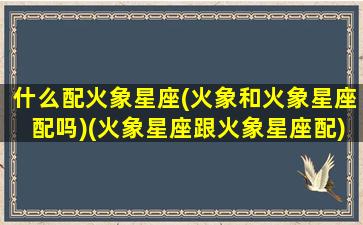 什么配火象星座(火象和火象星座配吗)(火象星座跟火象星座配)