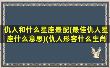 仇人和什么星座最配(最佳仇人星座什么意思)(仇人形容什么生肖)