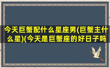 今天巨蟹配什么星座男(巨蟹主什么星)(今天是巨蟹座的好日子吗)