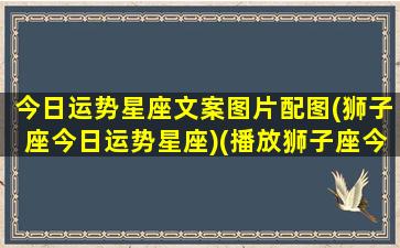 今日运势星座文案图片配图(狮子座今日运势星座)(播放狮子座今日运势的短视频)