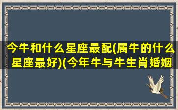 今牛和什么星座最配(属牛的什么星座最好)(今年牛与牛生肖婚姻怎么样!)