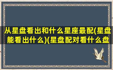 从星盘看出和什么星座最配(星盘能看出什么)(星盘配对看什么盘)