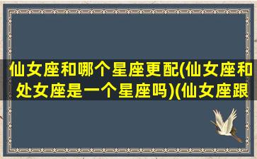 仙女座和哪个星座更配(仙女座和处女座是一个星座吗)(仙女座跟处女座)