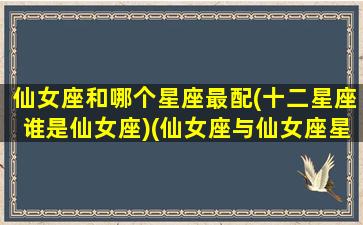 仙女座和哪个星座最配(十二星座谁是仙女座)(仙女座与仙女座星系的区别)