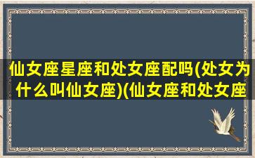 仙女座星座和处女座配吗(处女为什么叫仙女座)(仙女座和处女座有什么关系)