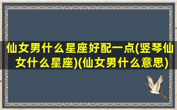 仙女男什么星座好配一点(竖琴仙女什么星座)(仙女男什么意思)