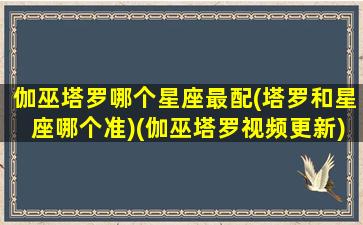 伽巫塔罗哪个星座最配(塔罗和星座哪个准)(伽巫塔罗视频更新)