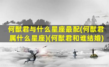 何猷君与什么星座最配(何猷君属什么星座)(何猷君和谁结婚)