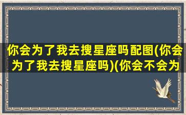 你会为了我去搜星座吗配图(你会为了我去搜星座吗)(你会不会为了谁)