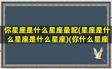 你星座是什么星座最配(星座是什么星座是什么星座)(你什么星座的下一句话搞笑)