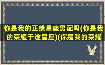 你是我的正缘星座男配吗(你是我的荣耀于途星座)(你是我的荣耀男主星座)