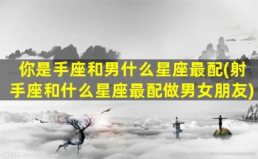 你是手座和男什么星座最配(射手座和什么星座最配做男女朋友)