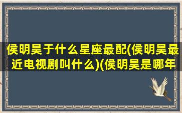 侯明昊于什么星座最配(侯明昊最近电视剧叫什么)(侯明昊是哪年的)