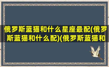 俄罗斯蓝猫和什么星座最配(俄罗斯蓝猫和什么配)(俄罗斯蓝猫和蓝猫的区别)