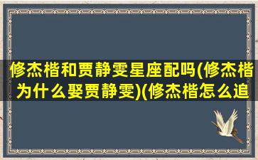 修杰楷和贾静雯星座配吗(修杰楷为什么娶贾静雯)(修杰楷怎么追的贾静雯)