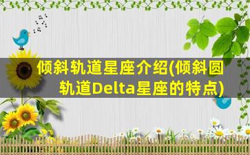 倾斜轨道星座介绍(倾斜圆轨道Delta星座的特点)